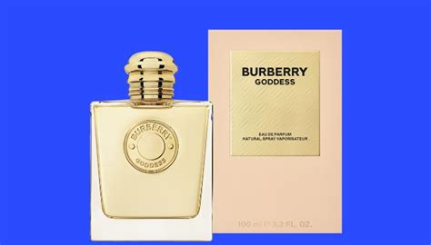 perfumes similar to burberry classic|burberry classic perfume dupe.